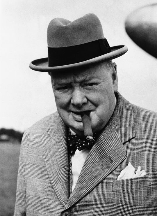 Winston Churchill Sample Picture