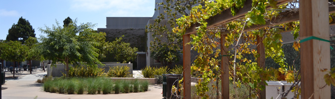 SMC Organic Learning Garden