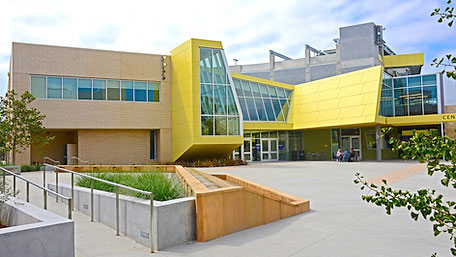 Center for Media and Design